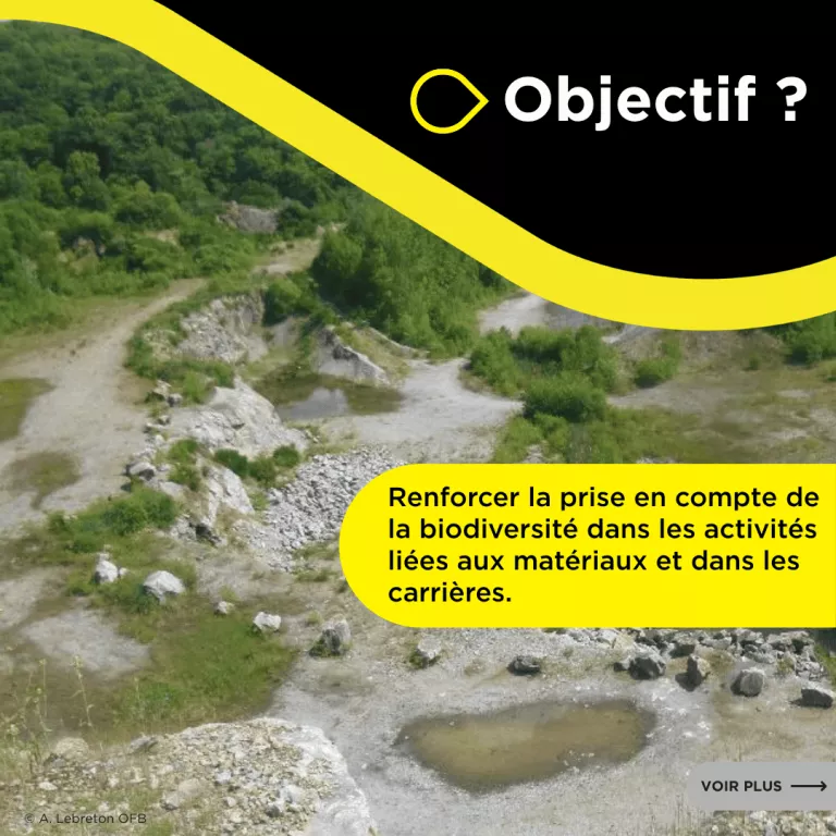 Site de carrière réaménagé intégrant la biodiversité dans les activités liées aux matériaux naturels