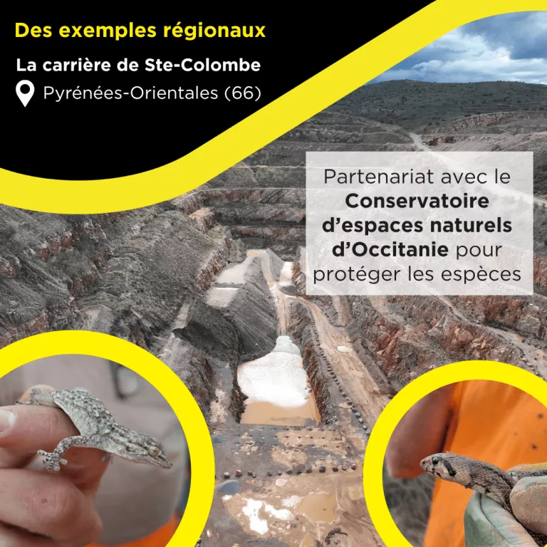 Carrière de Sainte-Colombe dans les Pyrénées-Orientales avec actions de protection des espèces locales en partenariat avec un conservatoire