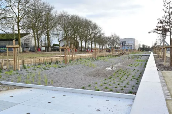 Aménagement paysager du Jardin du Rail à Nantes avec massifs minéraux, jeunes plantations et cheminements piétons sur l’île de Nantes